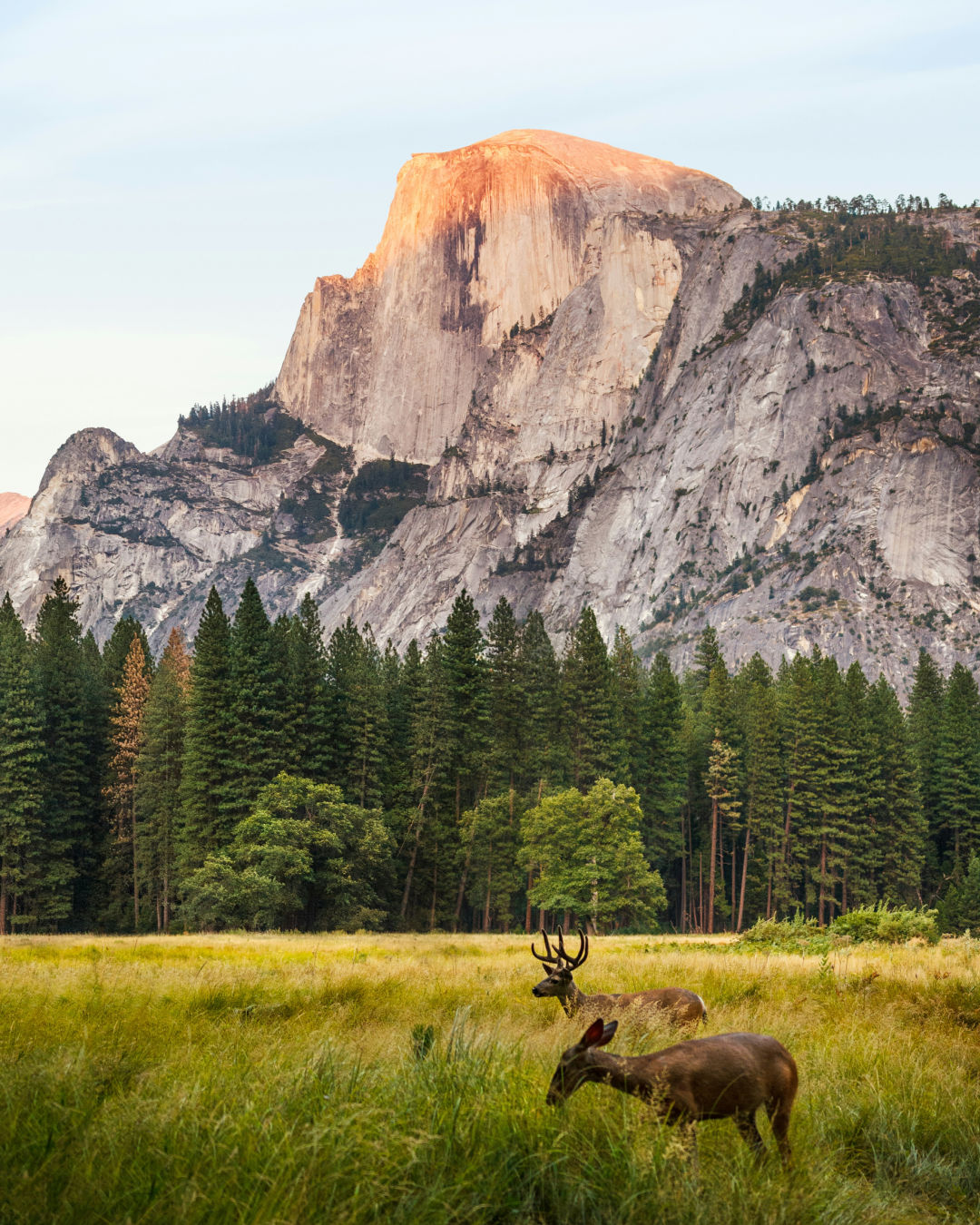 California landscape 5